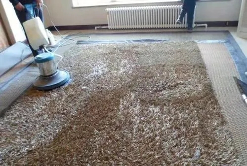 关于地毯清洗规范及操作说明