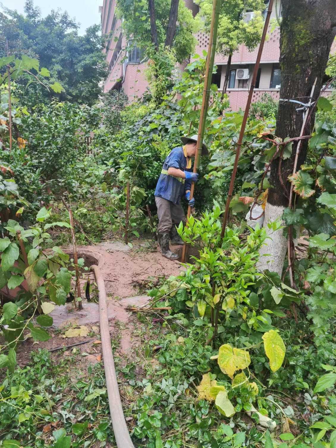 专业化粪池清淘公司浅谈化粪池清掏作用